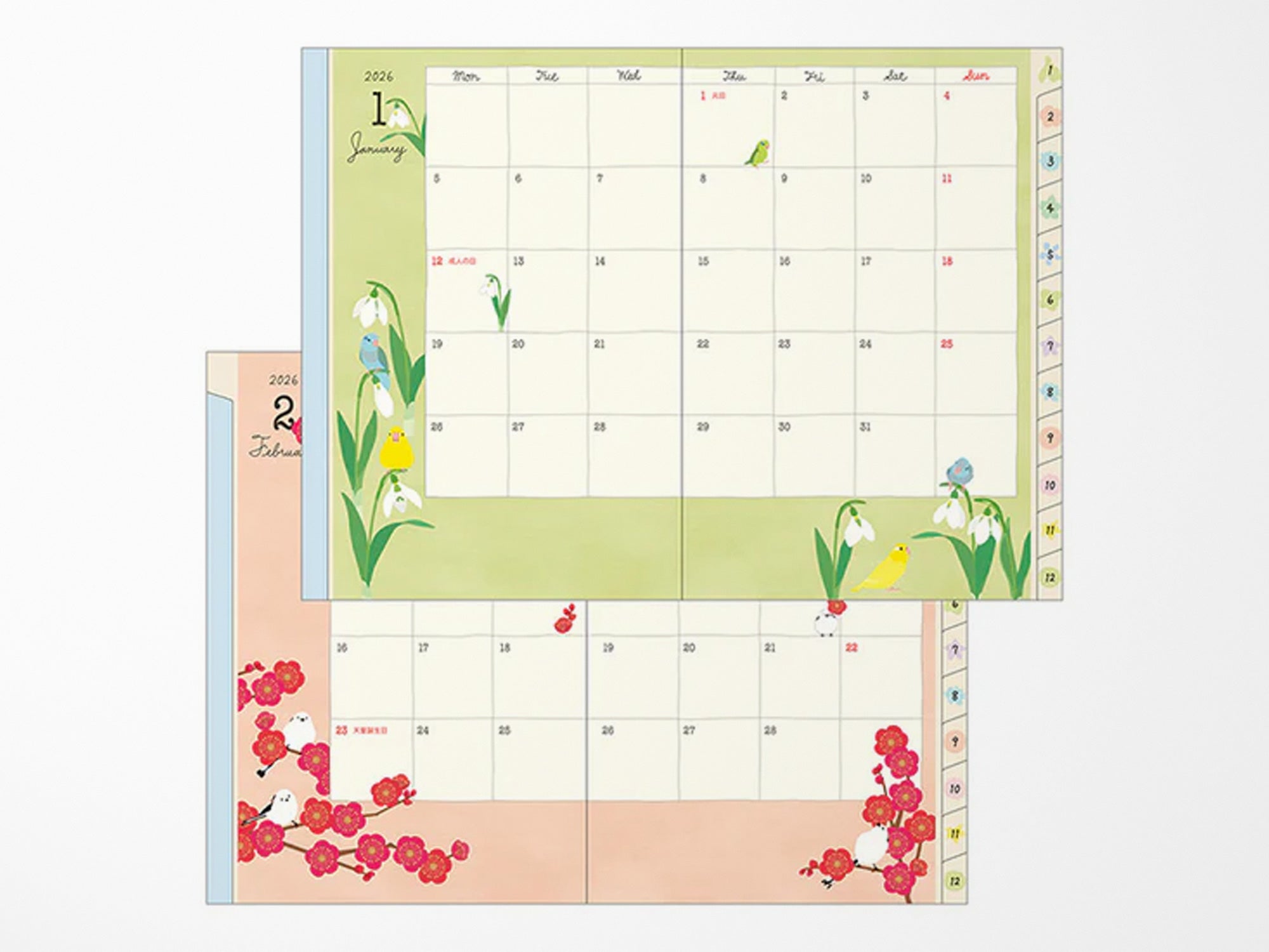 Midori Pocket Diary 2026 B6 - Bird