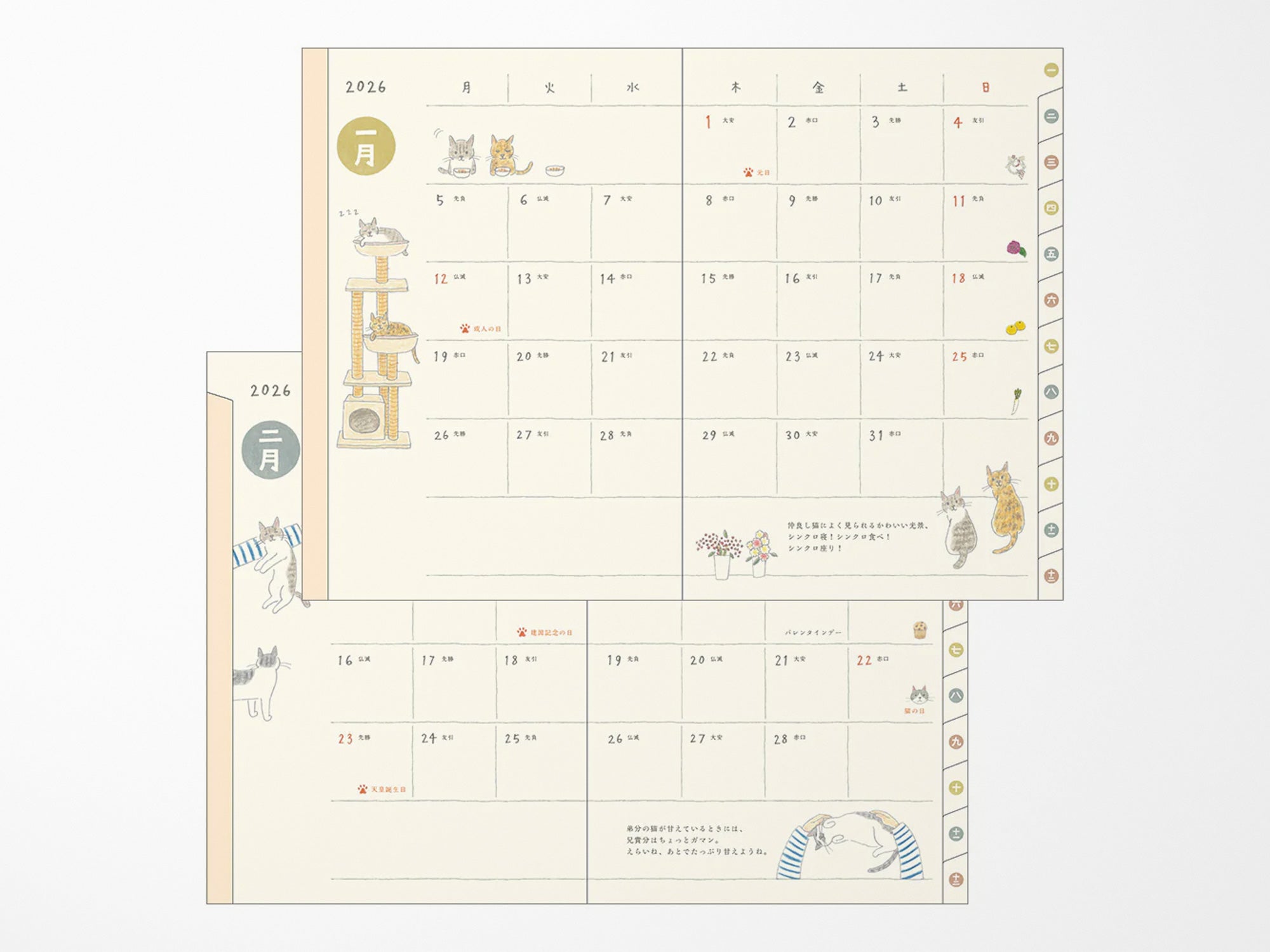 Midori Pocket Diary 2026 B6 - Cat
