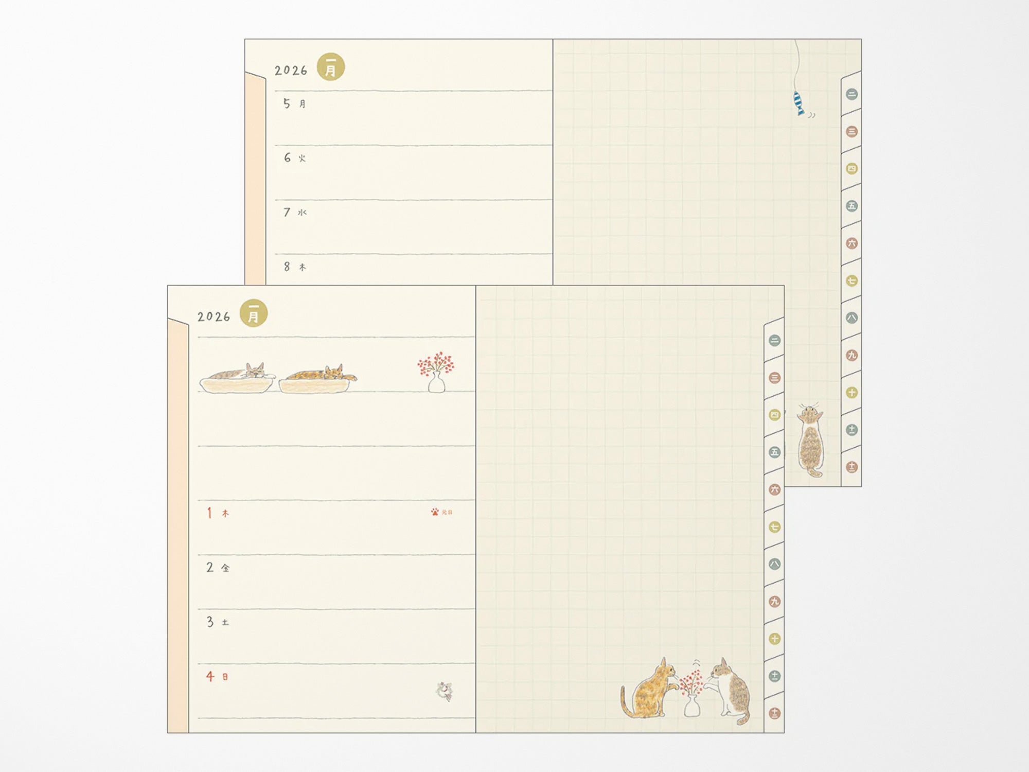 Midori Pocket Diary 2026 B6 - Cat