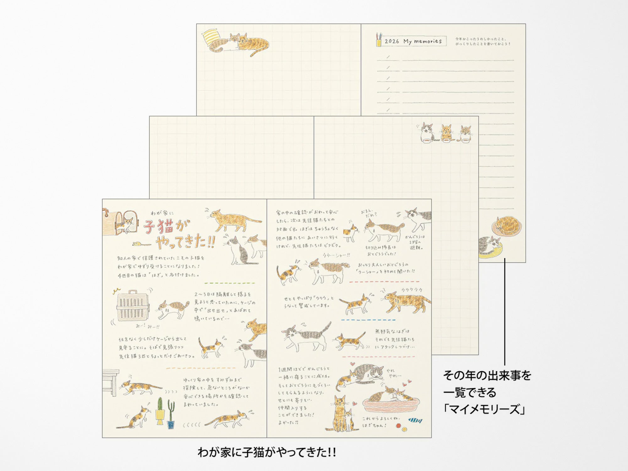 Midori Pocket Diary 2026 B6 - Cat