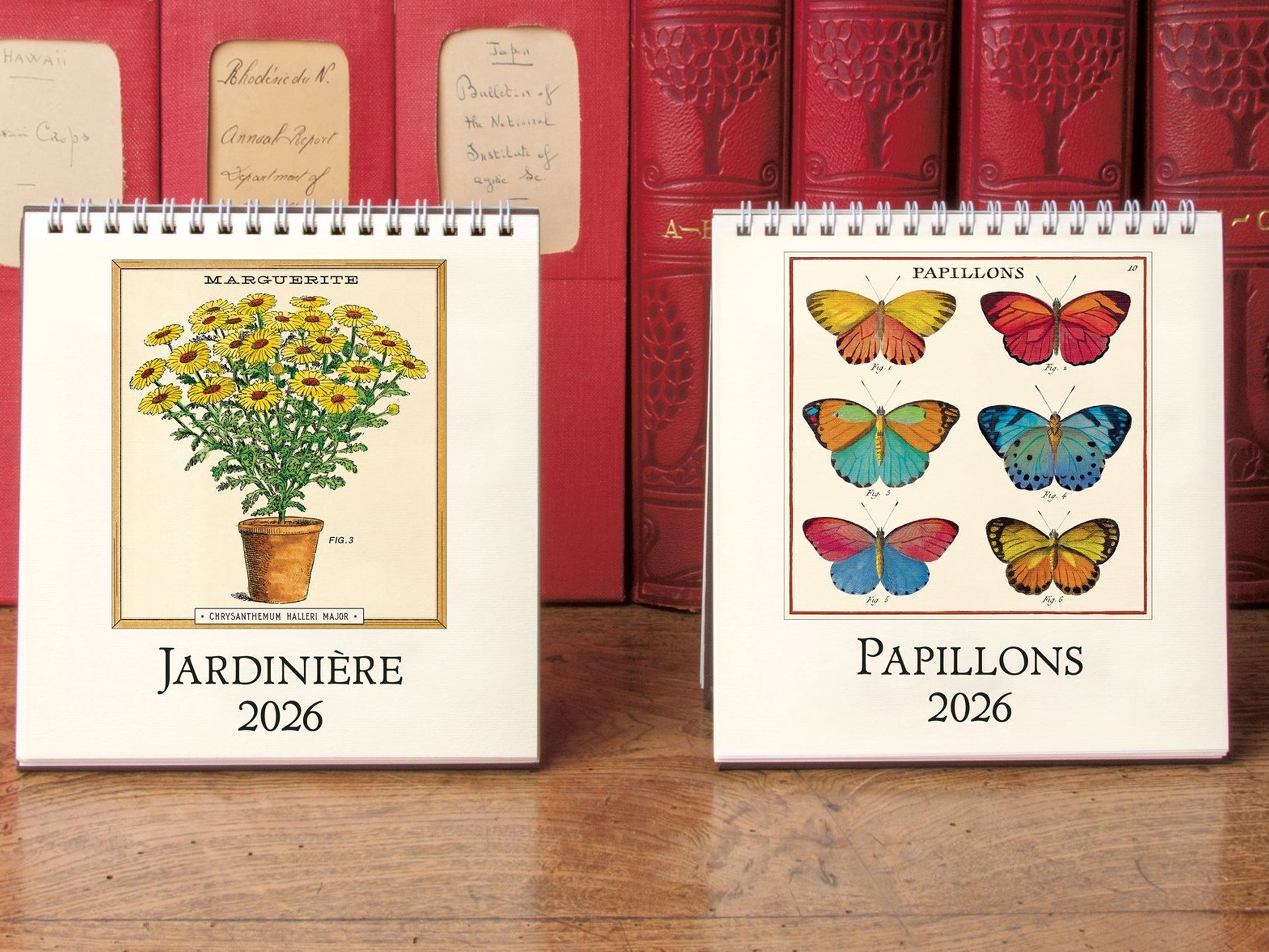 Cavallini 2026 DESK Calendar - New York