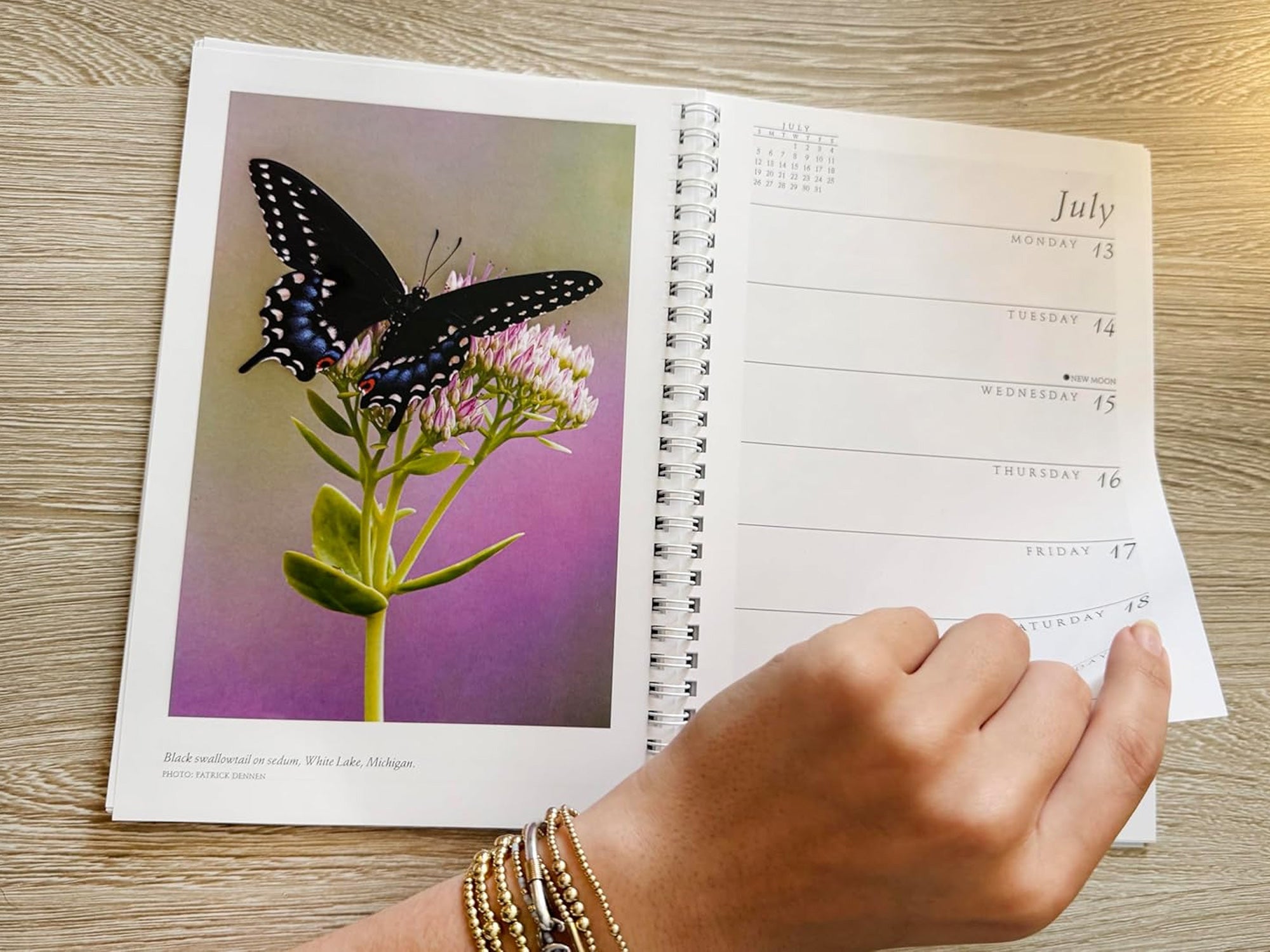 2026 Sierra Club Engagement Calendar