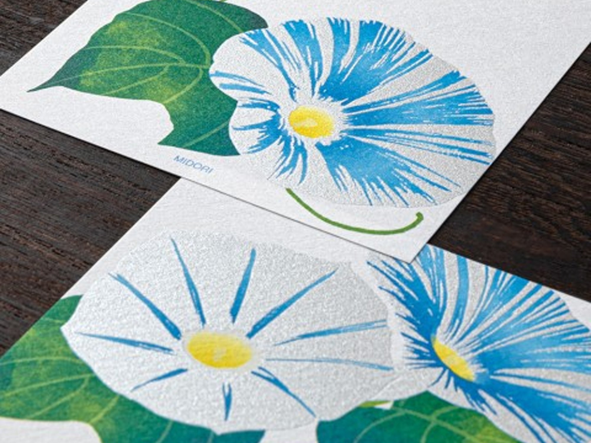 Midori Seasonal Memo Letter Pad - 589 Morning Glory