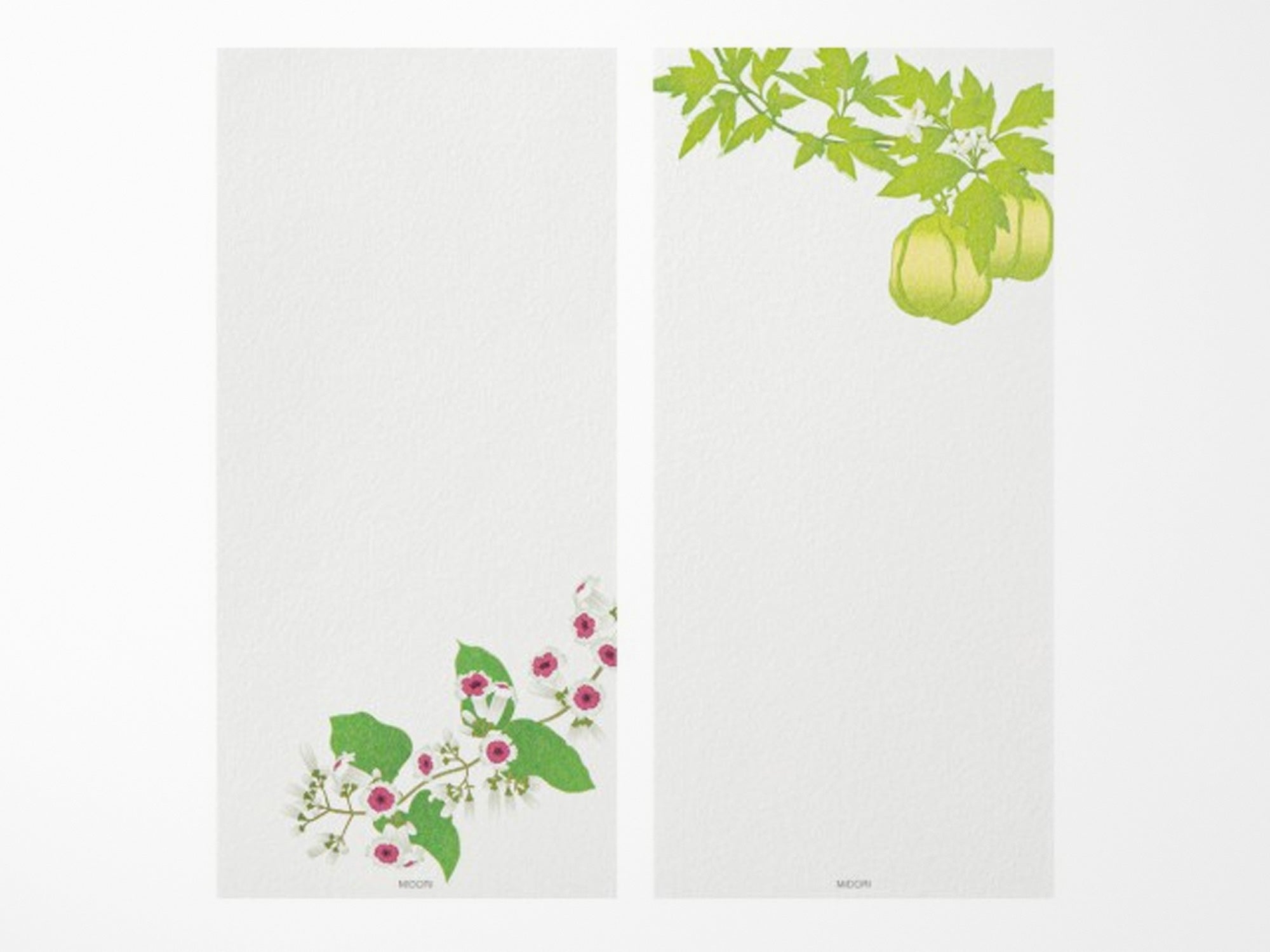 Midori Seasonal Memo Letter Pad - 587 Summer Flowers
