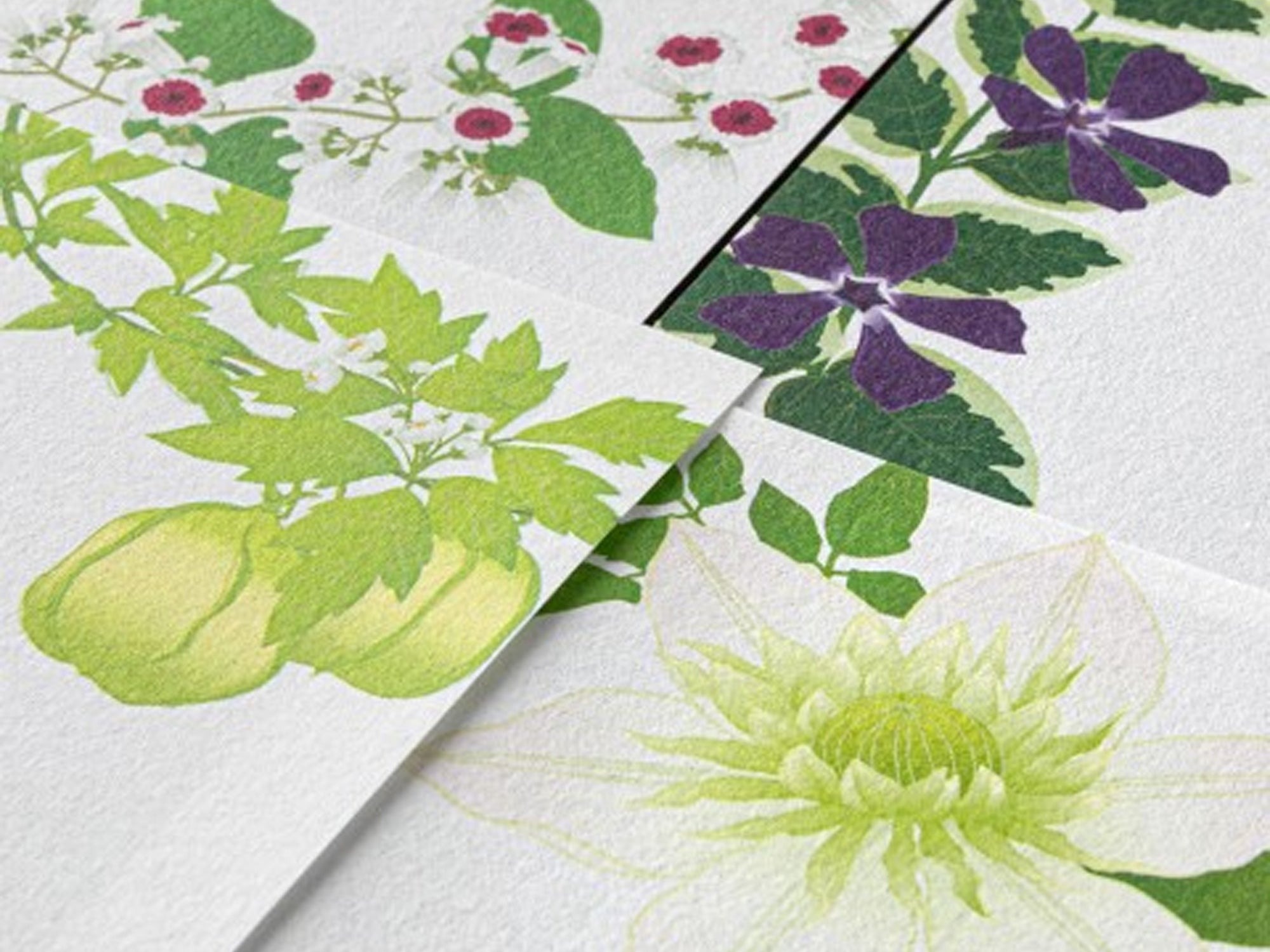 Midori Seasonal Memo Letter Pad - 587 Summer Flowers