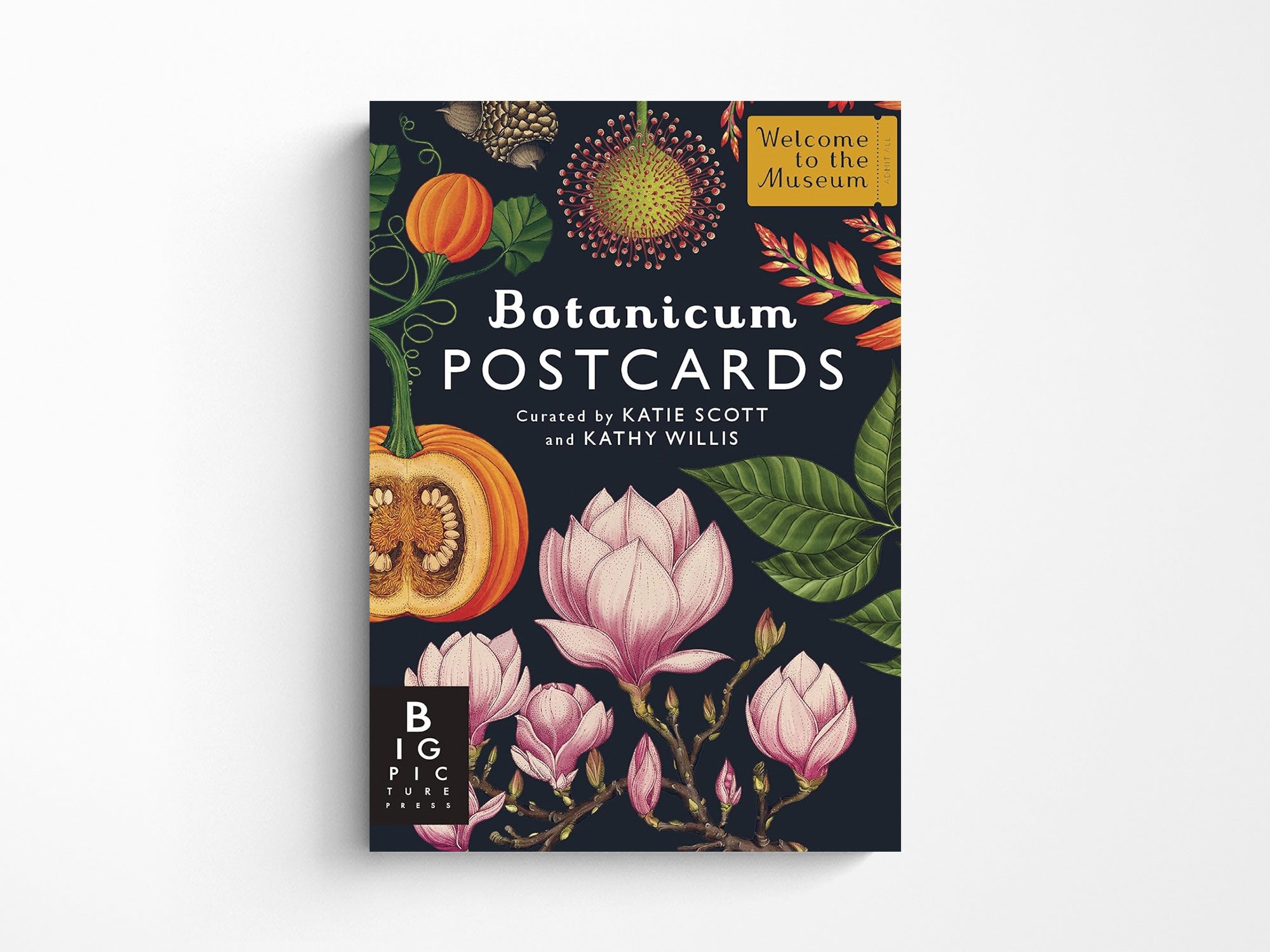 Botanicum Postcard Box Set
