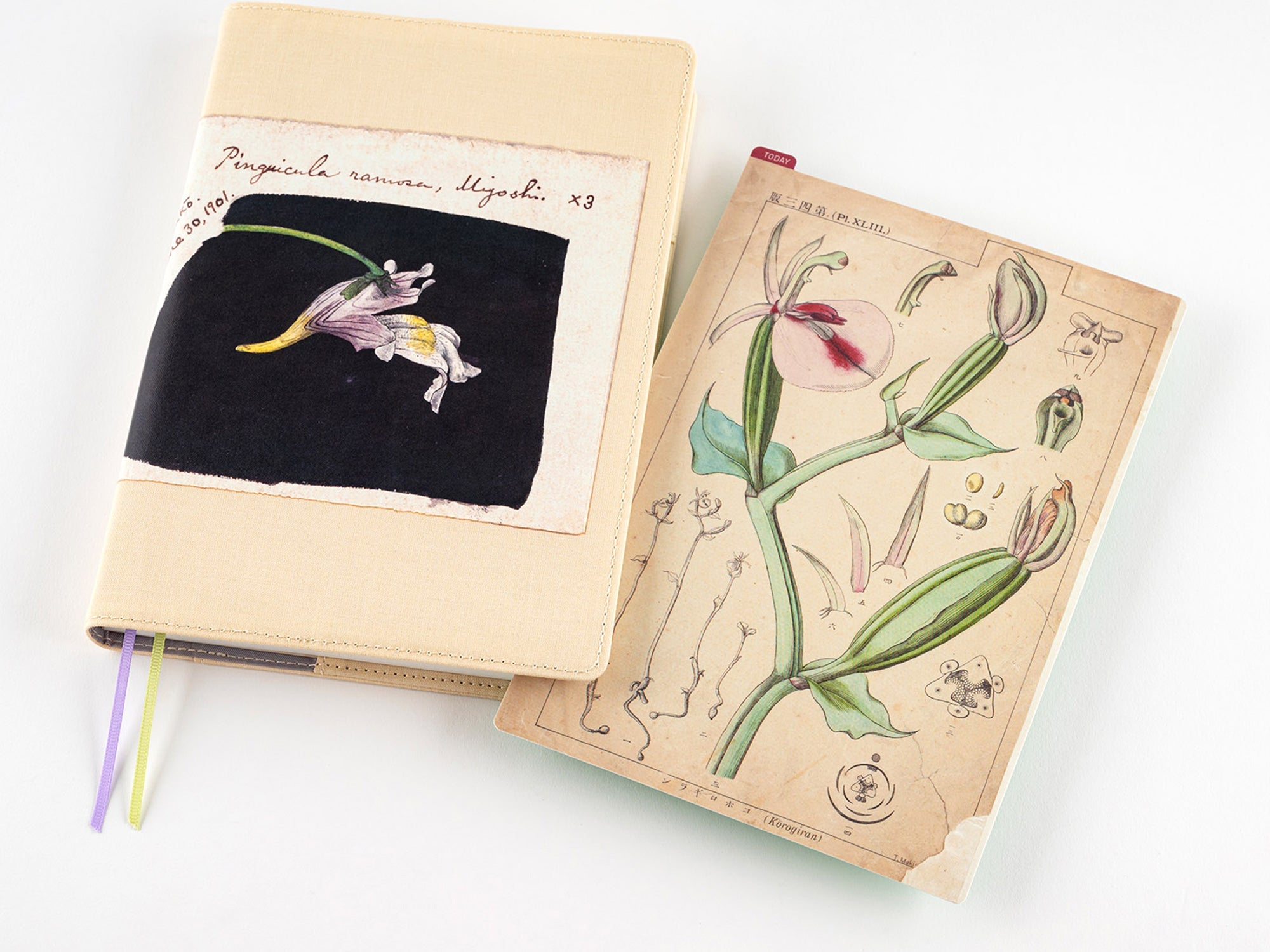 Hobonichi Pencil Board for A5 Size - Tomitaro Makino*