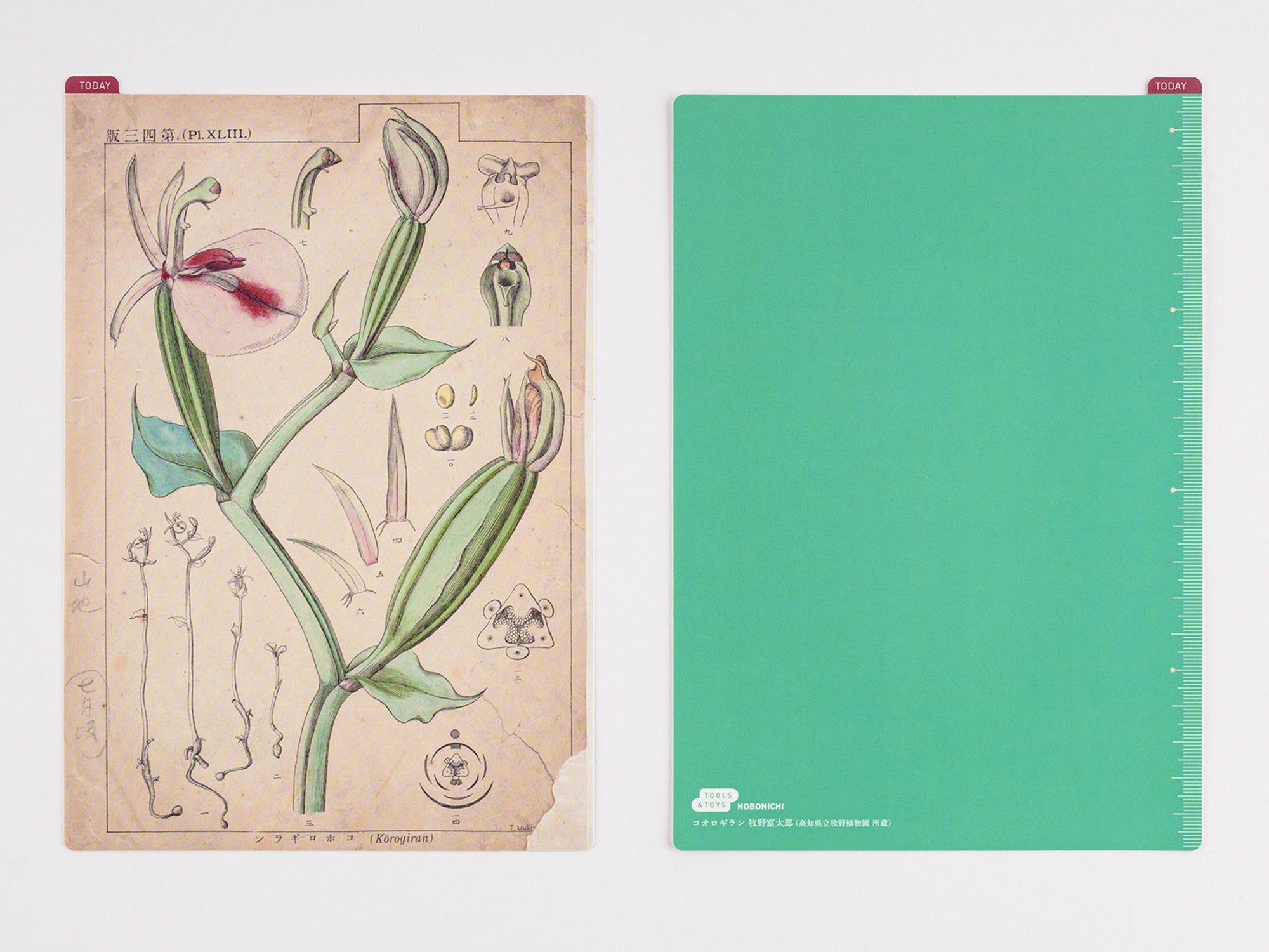 Hobonichi Pencil Board for A5 Size - Tomitaro Makino*