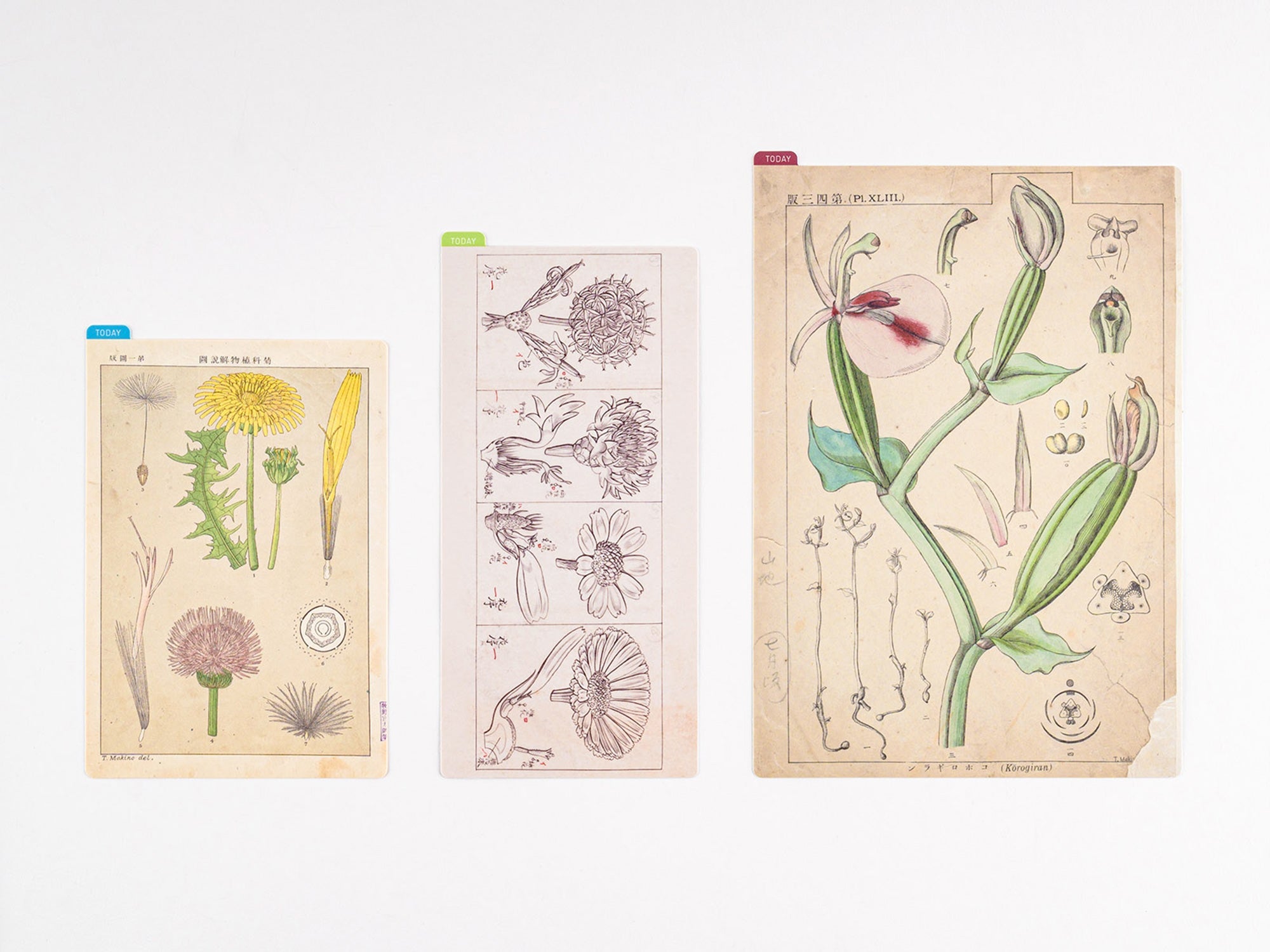 Hobonichi Pencil Board for A5 Size - Tomitaro Makino*