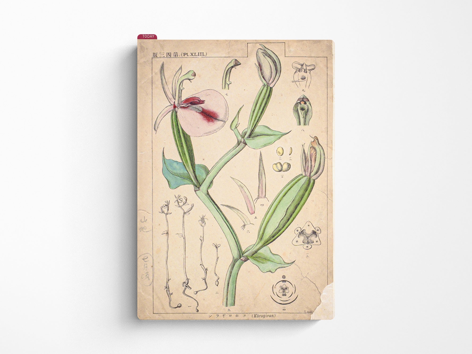 Hobonichi Pencil Board for A5 Size - Tomitaro Makino*