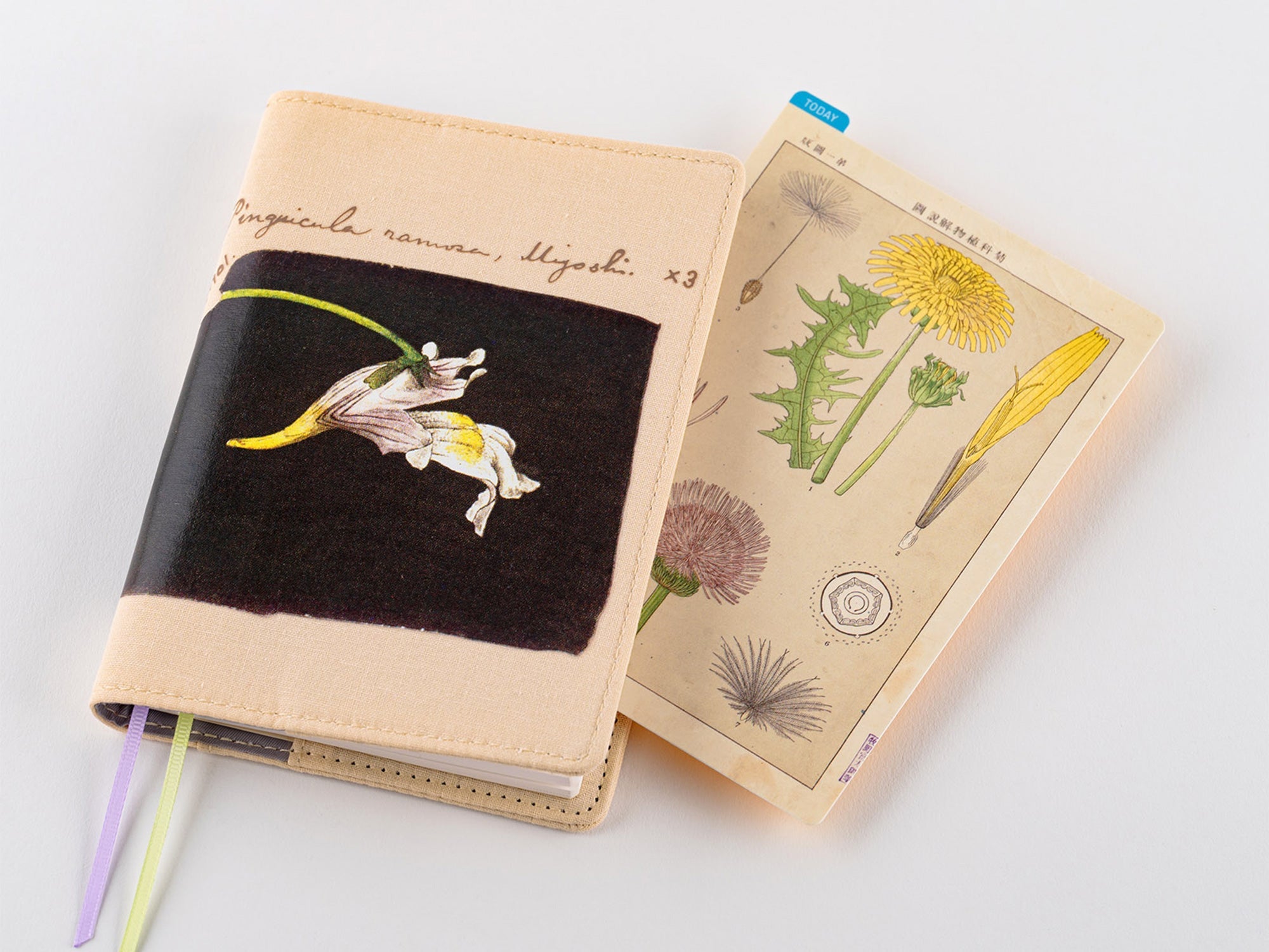 Hobonichi Pencil Board for A6 Size - Tomitaro Makino*