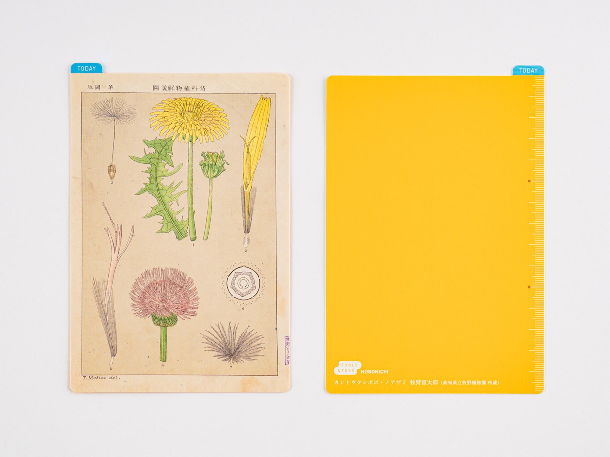 Hobonichi Pencil Board for A6 Size - Tomitaro Makino*