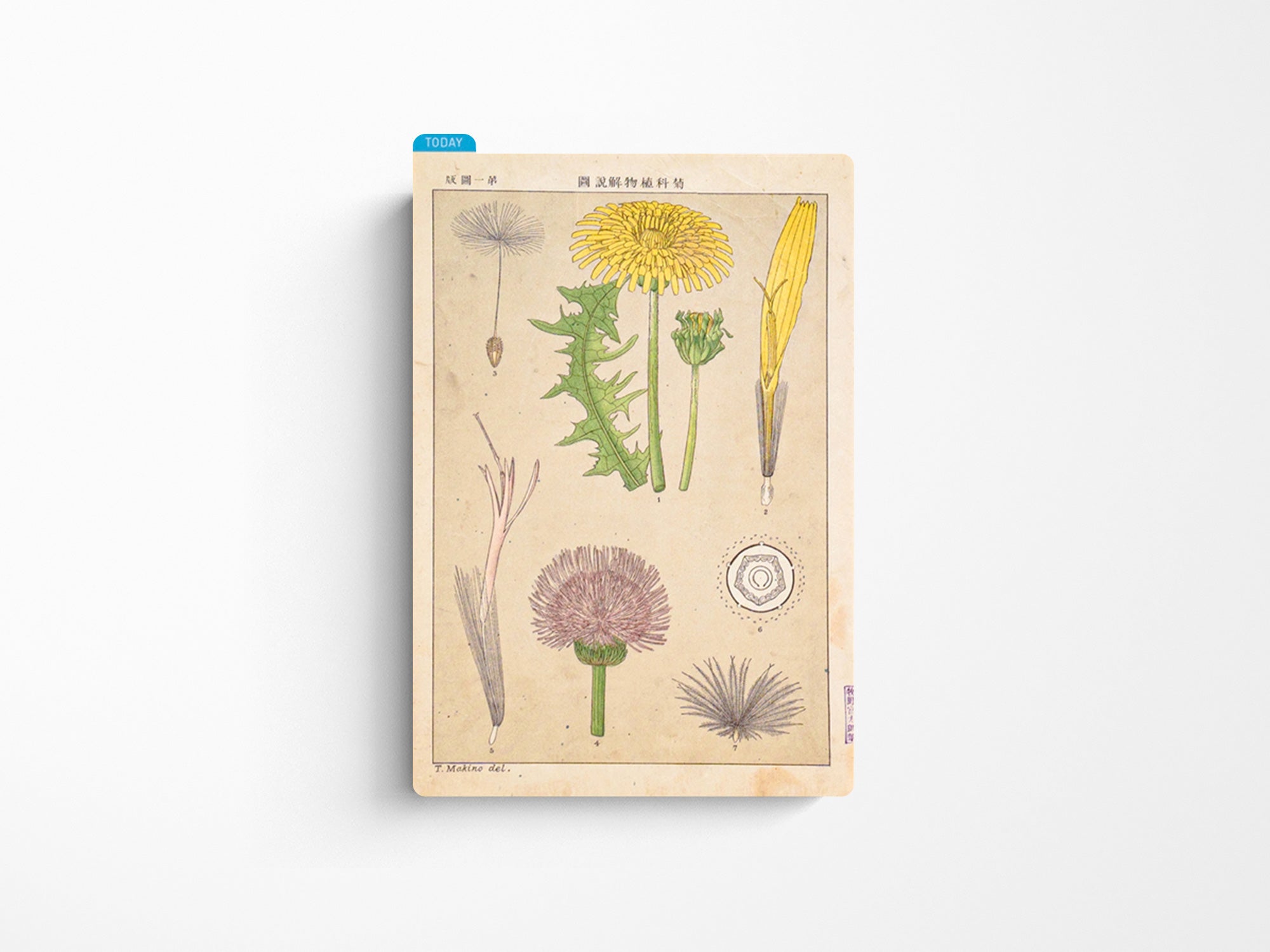 Hobonichi Pencil Board for A6 Size - Tomitaro Makino*