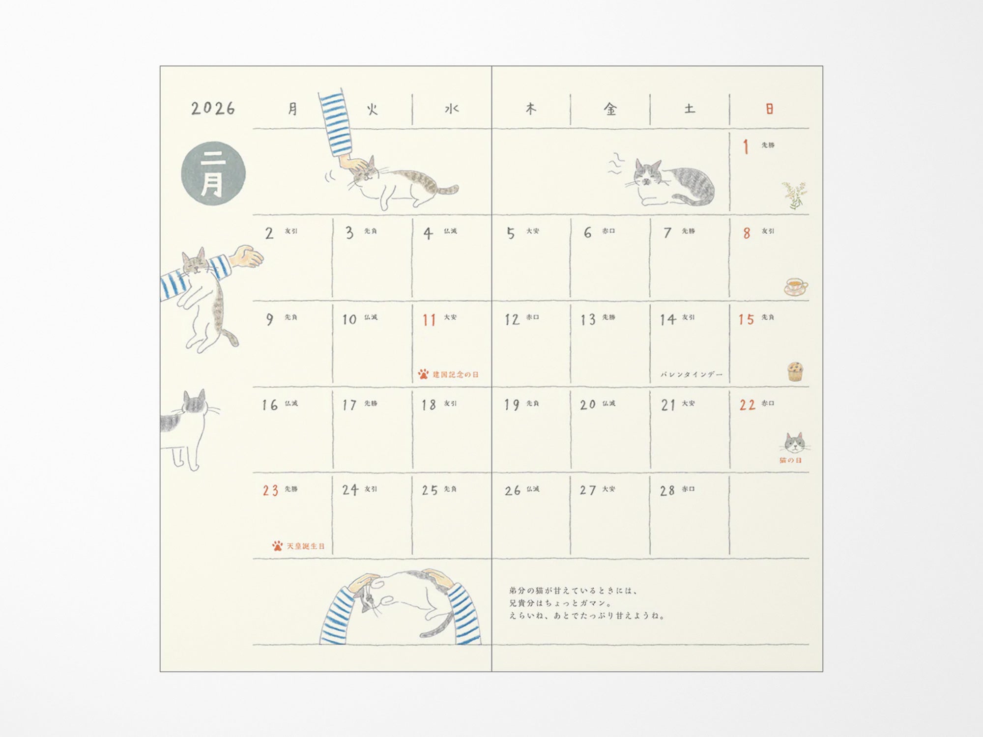 Midori Pocket Diary 2026 Slim - Cat
