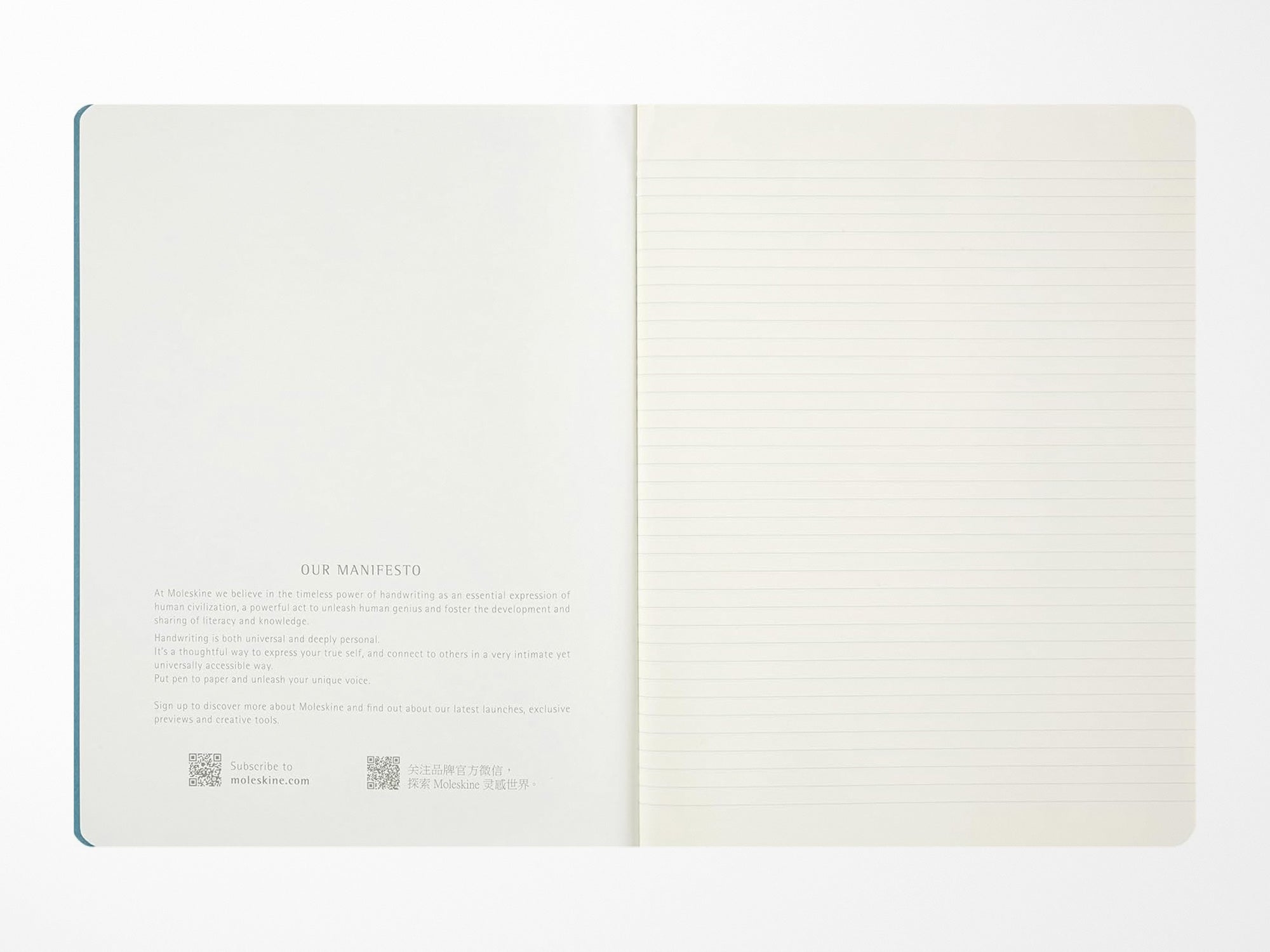Moleskine Peanuts Limited Edition Cahier Journals - Set of 3