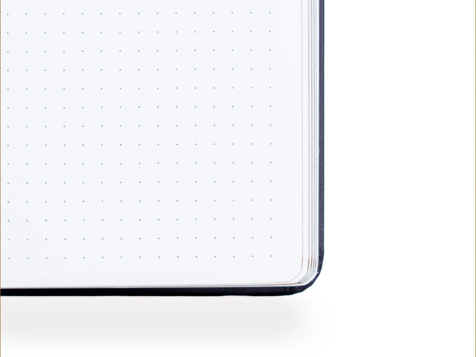 New! Limited Edition Ginkgo Leaf A5 Dot Grid Journal