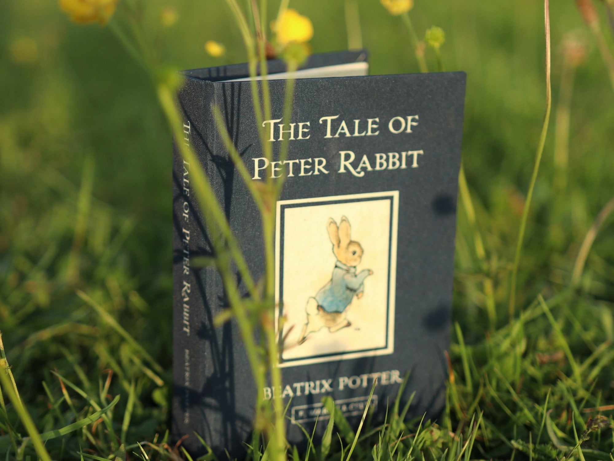 The Tale of Peter Rabbit Passport / Notebook Wallet